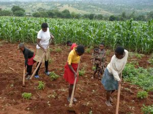 Employers who make use of child labour face harsh penalties, the Department of Labour has warned.