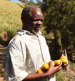 Aaron Zulu, chairman of the Nodunga Communal Property Association, holds naartjies produced on the land he co-owns with other community members.
