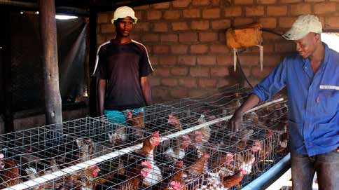 Tsatsanape Mdluli (right) at his farm in Ngwaritsi, Limpopo. Mdluli has big dreams for his farming business.