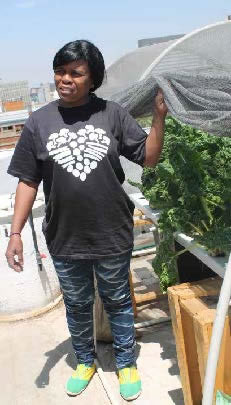 Local farmer Tiny Ngubeni next to spinach grown using the hydroponic method of farming.