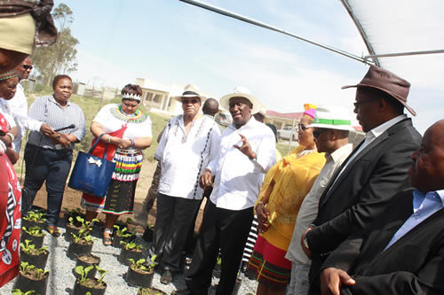 Deputy Minister of Agriculture, Fisheries and Forestry Bheki Cele with President Jacob Zuma and KZN MEC for Agriculture and Rural Development Cyril Xaba. The department has announced that there would be more funding for to help farmers with the drought relief.