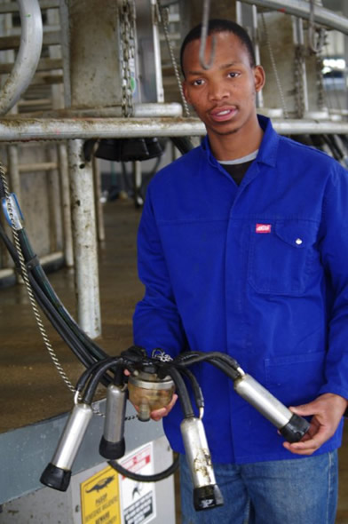 Ntshiza dreams of owning his own dairy farm one day. Ntshiza dreams of owning his own dairy farm one day.