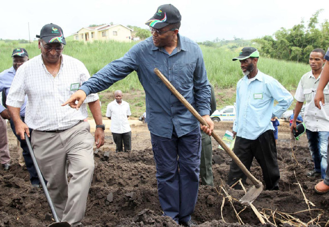 MEC for KZN Agriculture and Rural Development Cyril Xaba with South African Sugar Association Vice Chairman Suresh Naidoo, assisting members of the Sizweleni community to plough sugar cane fields.