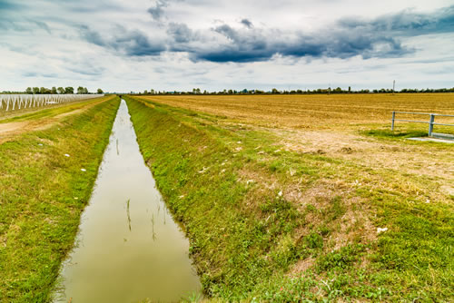 South Africans have until June 2019 to lodge land claims.