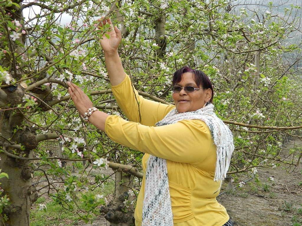 Venecia Janse inspecting her apple trees at the Oudrif Trust No. 2 farm.