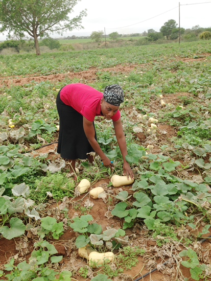 Makhosazana Sambo has big dreams for her farming business.
