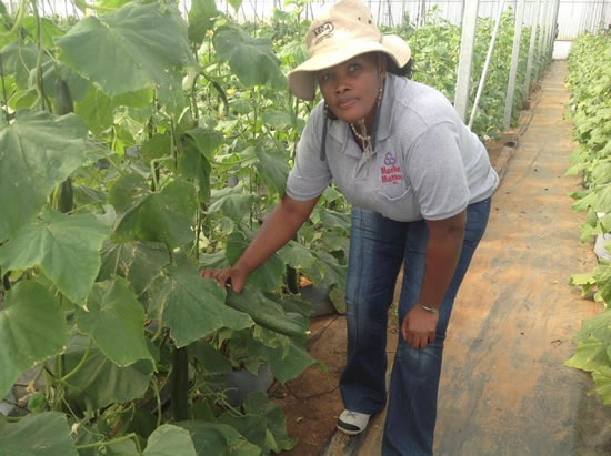 Farmer Fezeka Mkile co-founder of Mthatha Airport Agricultural Service on the farm in the Eastern Cape.