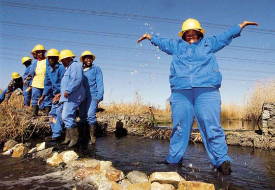 The Working for Wetlands Programme is creating jobs and cleaning the environment.