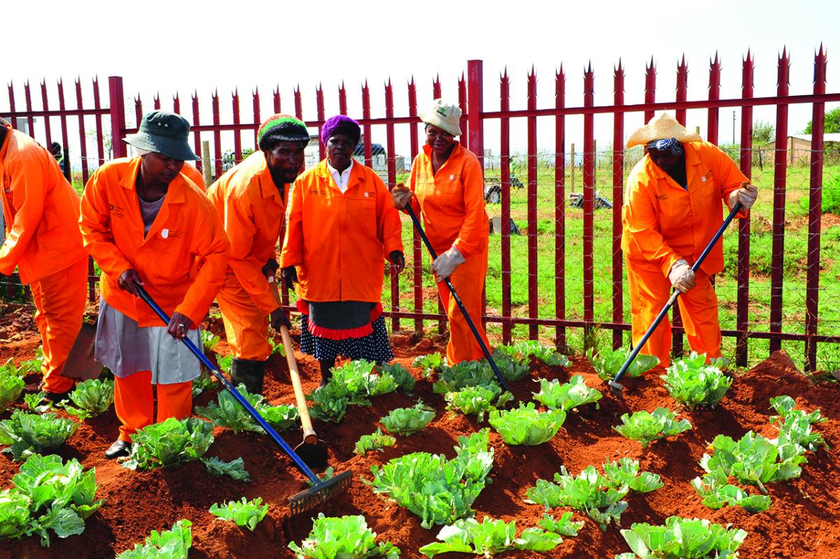 free-community-workers-cliparts-download-free-community-workers