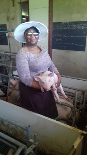 Nomqondiso Mbhalo feeding pigs on her farm. Skills to improve food security. (Image: North West Premier's Office) (Image: Hlengiwe Ngobese)