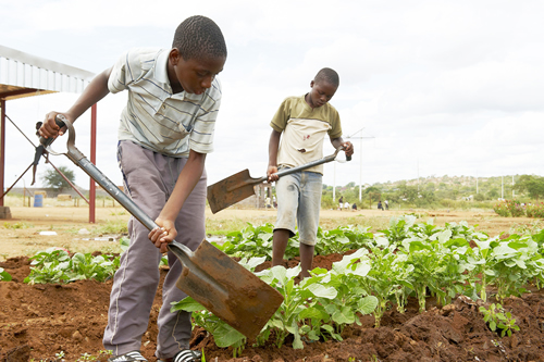 Skills to improve food security. (Image: North West Premier's Office)