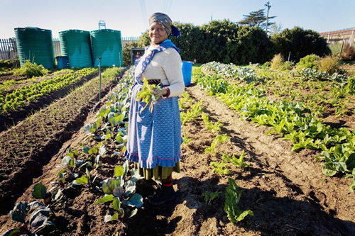 SMMEs involved in agro-processing, mining, energy, manufacturing, construction, trade, transport, forestry and services can access funding from the Mpumalanga Economic Growth Agency. (Image: US Aid)