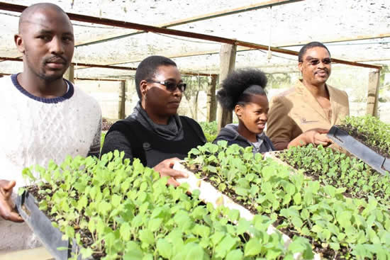 From left, Sinethemba Mangqangqa, Dr Nomakhaya Monde, Nondwe Galela and MEC Mlibo Qoboshiyane showing off spinach seedlings at the launch of the food security programme. (Photo: University of Fort Hare)