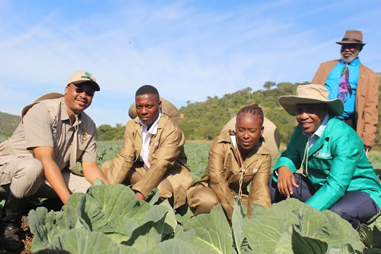 MEC Mlibo Qoboshiyane with Lower Zingcuka Youth Agricultural Cooperative’s Siyabonga Somdaka and Nosiviwe Mayalo and the EC Premier Phumulo Masualle inspect cabbages while village chief Ndlovu Ulana looks on.
