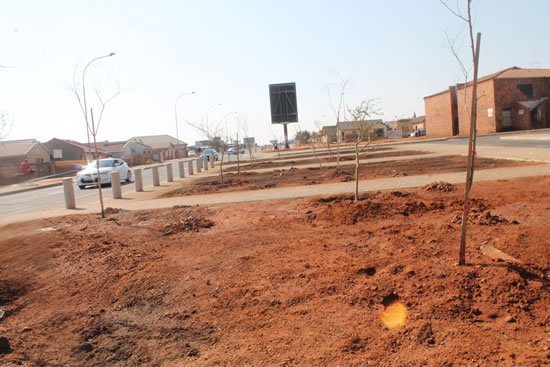 Upgrading the sidewalks in Mohlakeng.