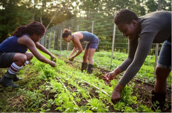 Young people in KwaZulu-Natal stand to benefit from the young farmers’ development programme.