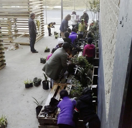 Bringing green thinking into the school space.