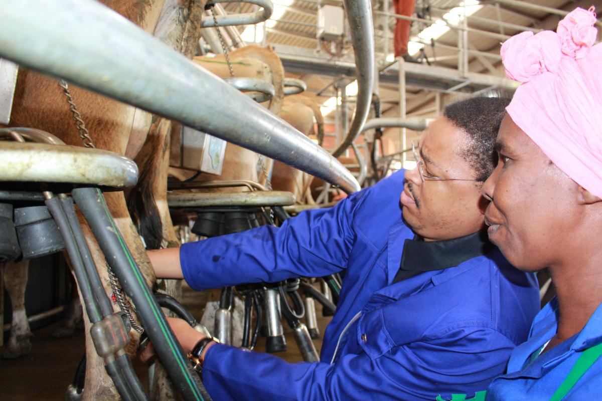 MEC for Rural Development Mlibo Qoboshiyane operates dairy machinery at Wittekleibosch farm.