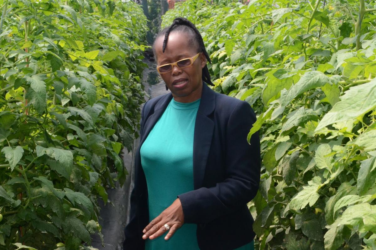 Busisiwe Molefe is the first black female farmer from KZN to supply macadamias to the export market.