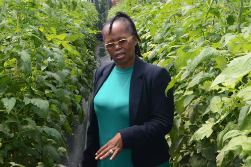 Busisiwe Molefe is the first black female farmer from KZN to supply macadamias to the export market.