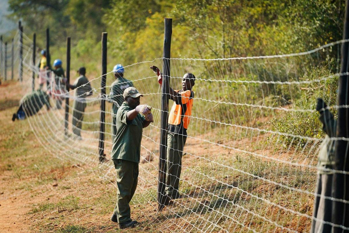 The Mayibuye Game Reserve has created jobs for more than 70 people in that area.