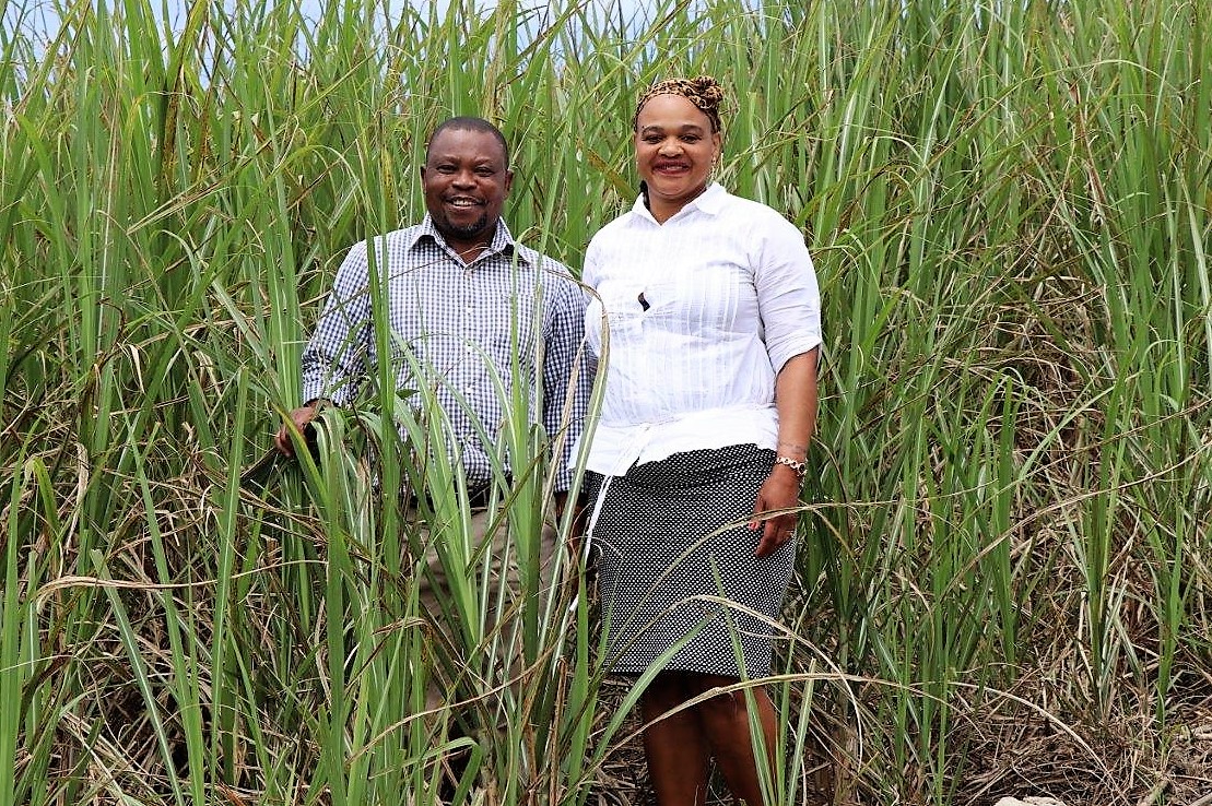 Mboneni and Hlengiwe Ngqotheni own a 190-hectare farm that produces up to 10 000 tons of sugarcane and permanently employs 30 locals.