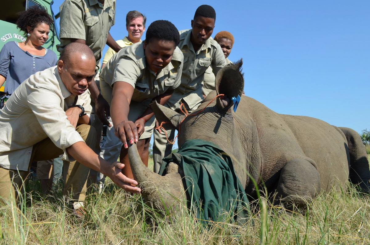 Environmental monitors have played a part in reducing poaching in nature reserves around the country.