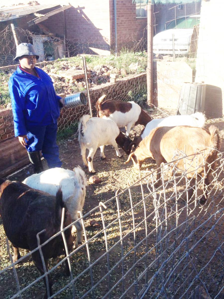 Landiswa Diniso working hard to grow her farming business.