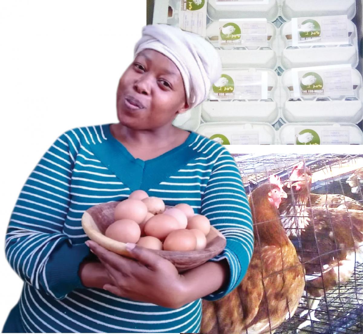 Malesiba Mabitsela supplies eggs to local shops in her area.
