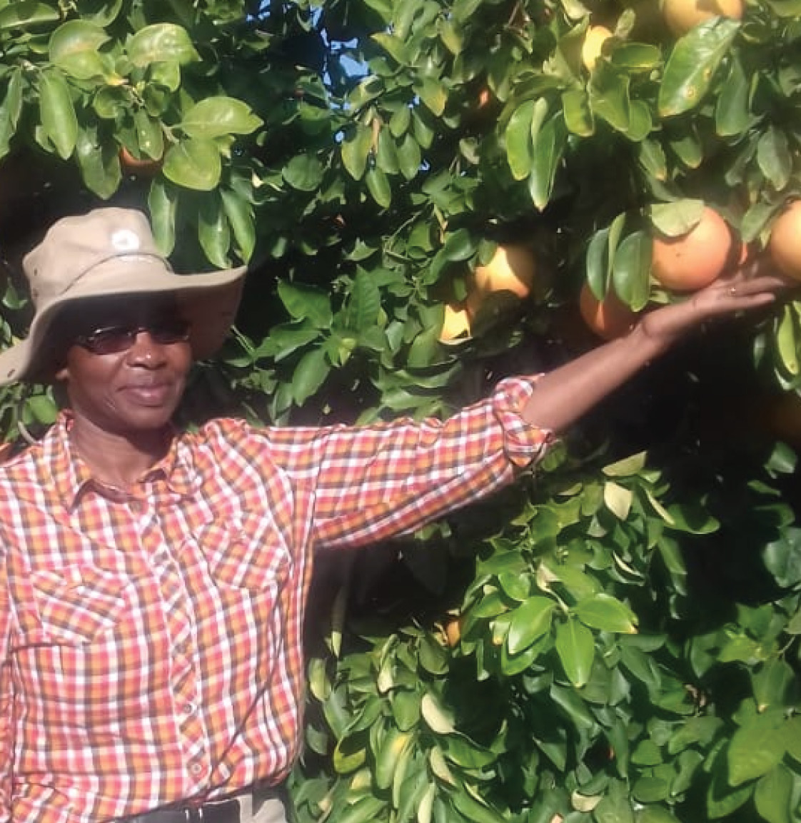 Smangele Gumede exports grapefruit to Japan, Europe and the Middle East.