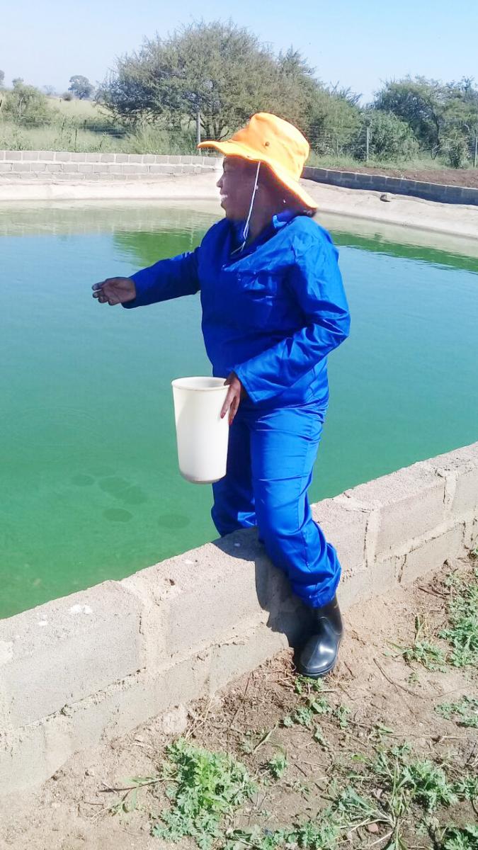 Sinethemba Sambo has taken her family business to new heights by venturing into aquaculture.