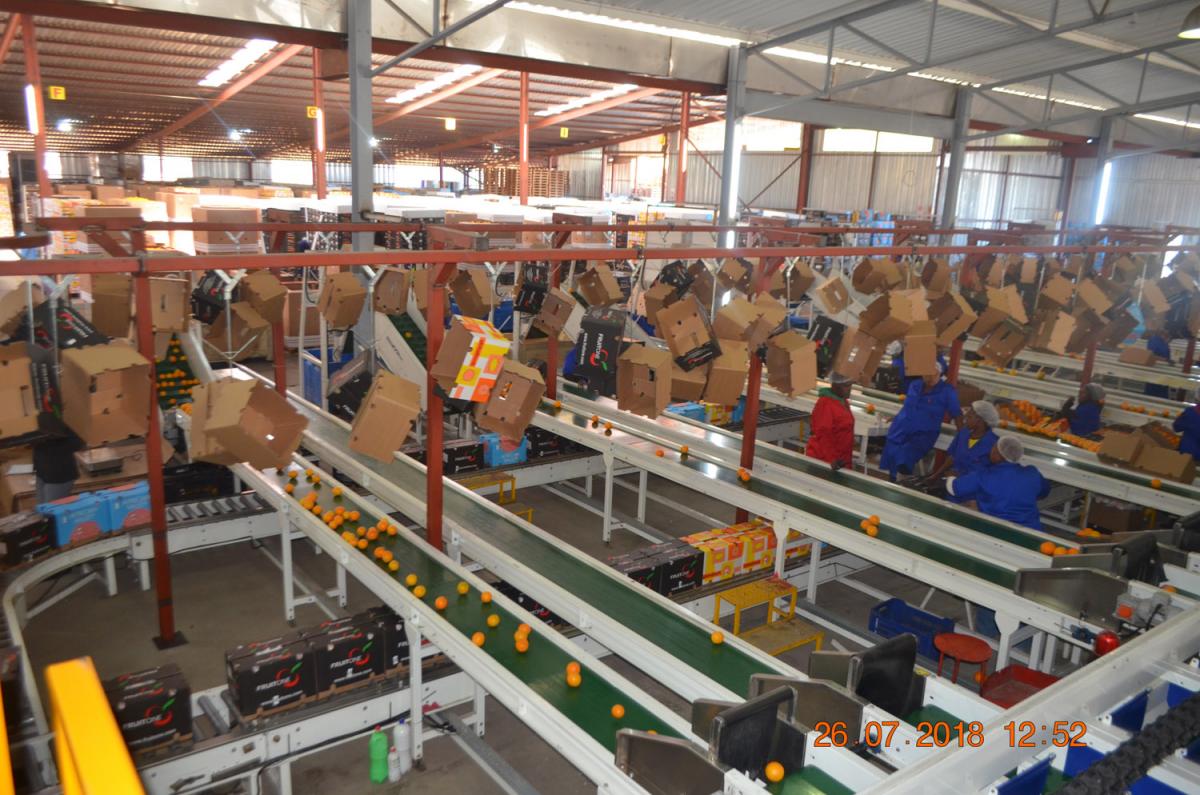 The CPA invested R37 million into a new citrus pack house.