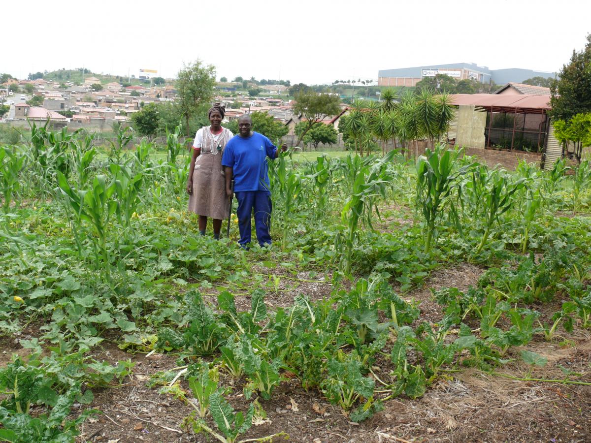 Amon Maluleke with community volunteer Lekau Nkoko at Thembalami Care Centre’s food garden.