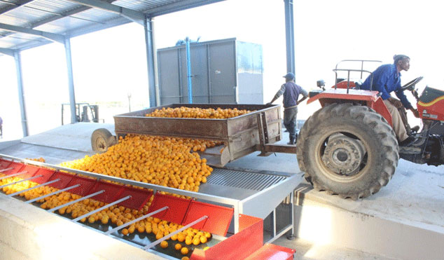 Farmers in the Eastern Cape will grow their businesses thanks to a new pack house donated by government.