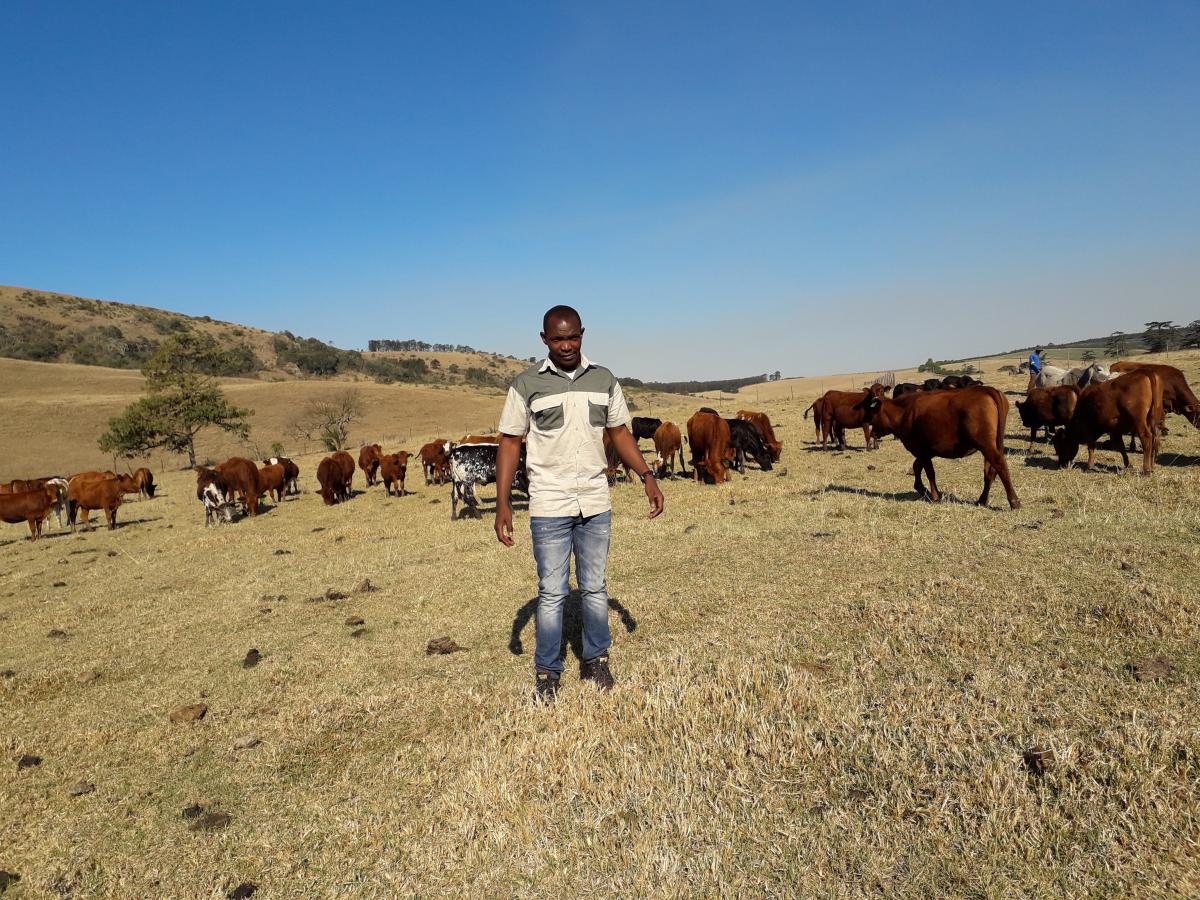 The young livestock farmer Thabiso Sithole sees farming as a business.