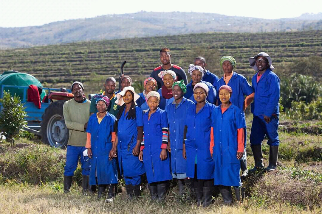 The Amajingqi Macadamia Farming has created about 150 jobs for locals.