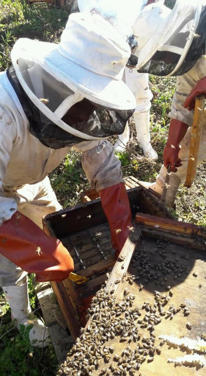 Sithembile Nzuzo hopes to see his beekeeping and honey business expand to other provinces.