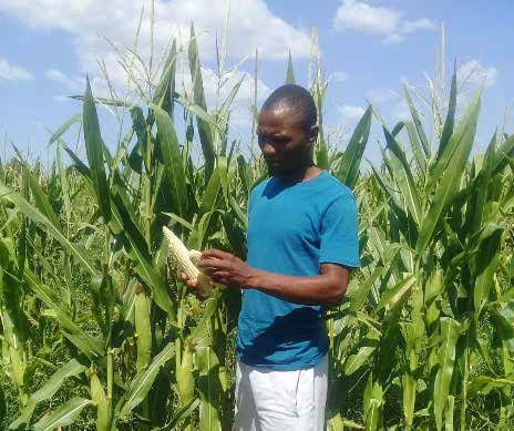 Young farmer Gil Wilson is creating jobs in his community.