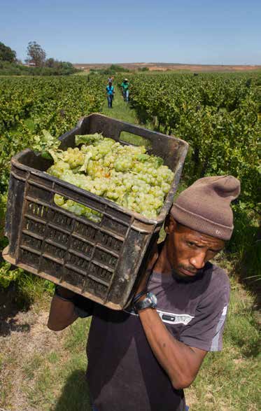 President Ramaphosa said about R3,9 billion was allocated to the Land Bank to support black farmers.