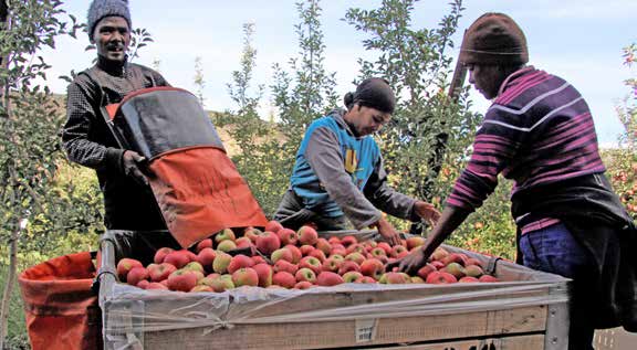 Workers at Appelkloof Workers’ Trust reaping the rewards of farming thanks to the assistance of the NDA.