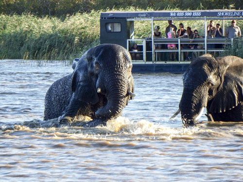 iSimangaliso Wetland Park in KwaZulu-Natal is one of the World Heritage sites that South Africa has to offer.  Image: Dennis Roberts  