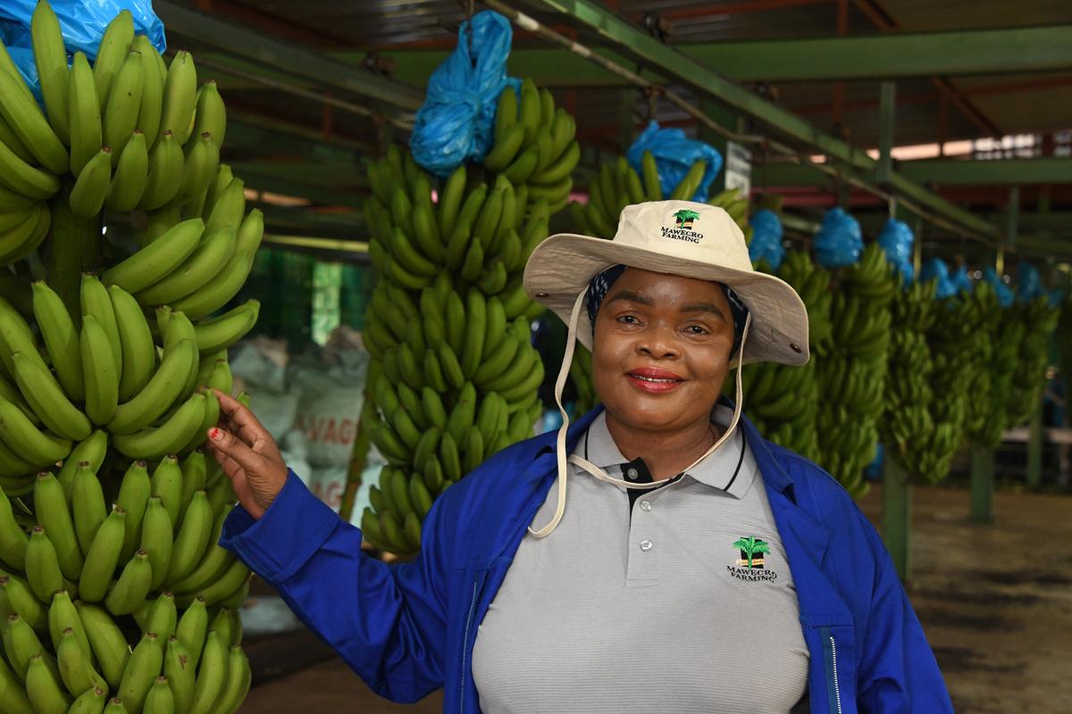 Siphiwe Mkhatshwa has made a success of the land she received from the Land Redistribution for Agricultural Development Programme