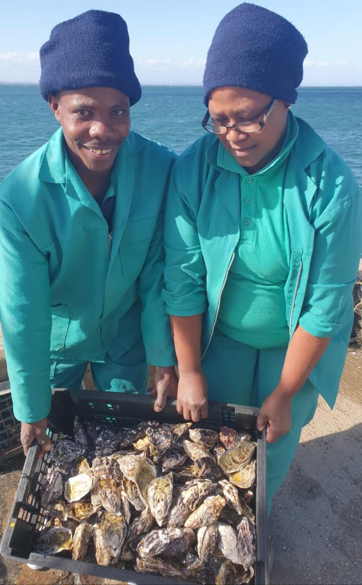 Rabson Marwisa and Mavis Tsibani work as supervisors at the Knysna Oyster Farm.