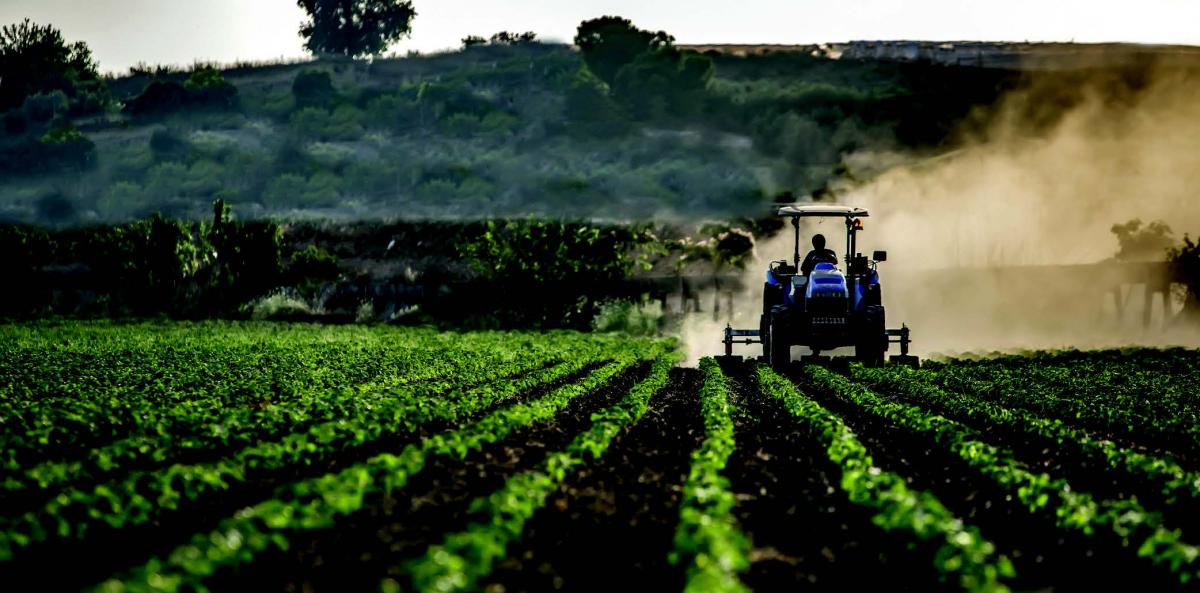 President Ramaphosa announced that about 700 000 hectares of land will be released this year for agricultural production.