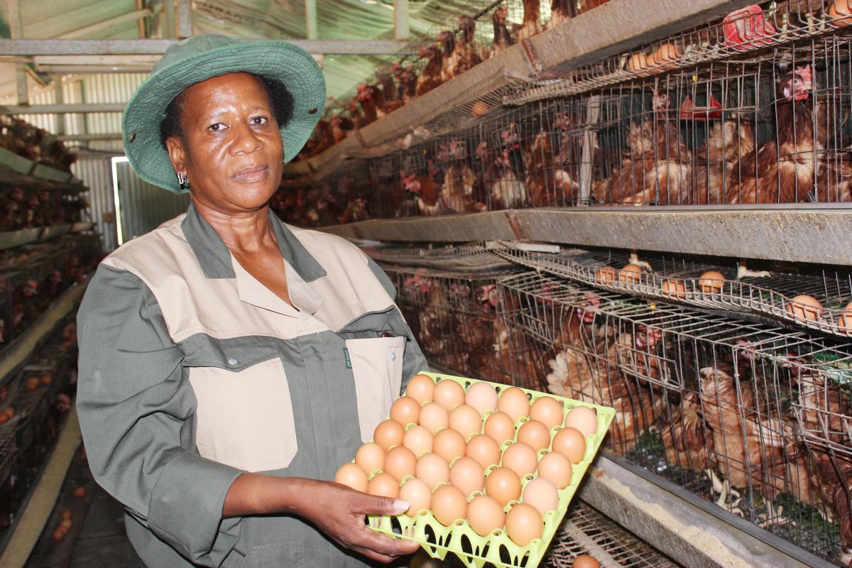 Maggie Mokgosho from the Segometse Bagoshi Agricultural Project, which produces an average of 8 500 eggs a day.