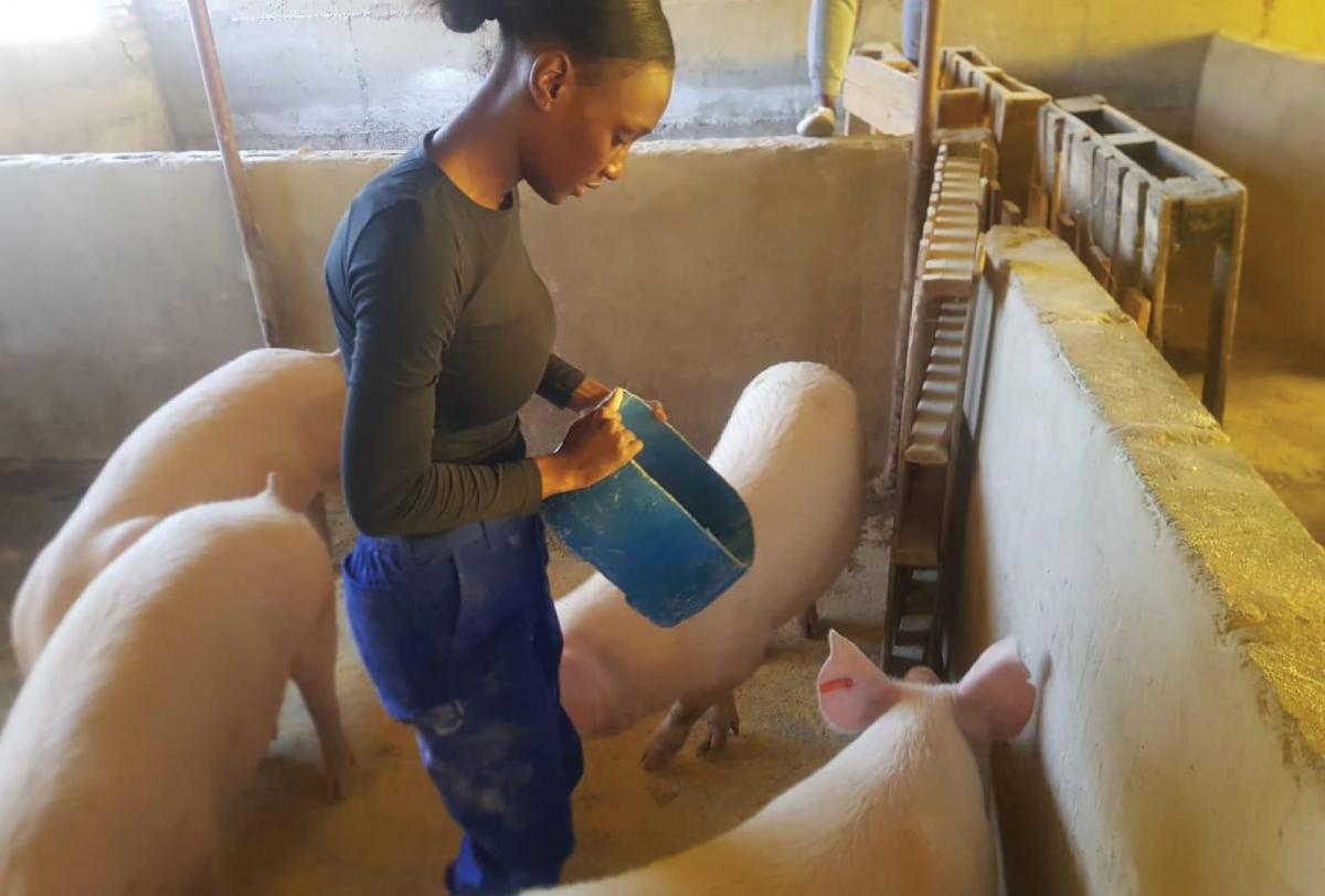 Noxolo Dludlu is a piggery farmer who received support from the Department of Agricluture, Land Reform and Rural Development.