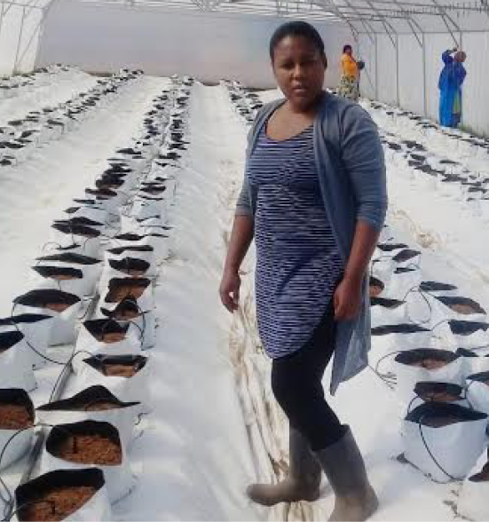 Bulelwa Makonxa runs a farming business that helps to create jobs for locals in Weenen, KwaZulu-Natal.