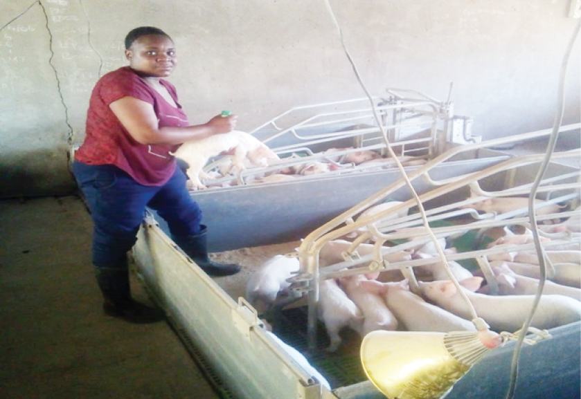 Khulile Mahlalela bringing her farming business to life after the lockdown.