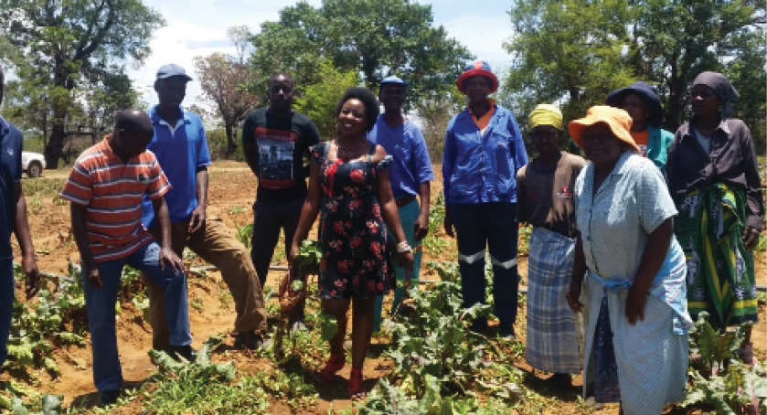 Members of the Lorraine Village Farmer Field School are teaching each other the best farming practices.