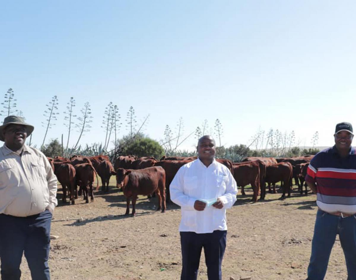 Some of the farmers in the Eastern Cape who received livestock and machinery from government.